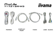 iiyama ProLite T1731SR-W5 17" 5-wire Resistive Touchscreen Monitor Touchscreen Monitor iiyama