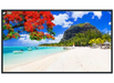 Panasonic TH-50SQ2HW SQ2H Series 50" 4K Ultra HD Commercial Display Panasonic Digital Signage Displays Panasonic
