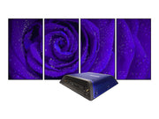 BrightSign XC4055 XC5 8K UHD Digital Signage Player Digital Signage Player BrightSign