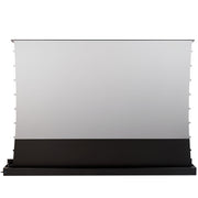 Celexon 110" CLR Home Cinema Plus Motorised Black Floor Screen | 1000025598 Projector Accessories Celexon