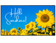 32" Commercial Monitor - Signage Display Digital Signage Display ScreenMoove