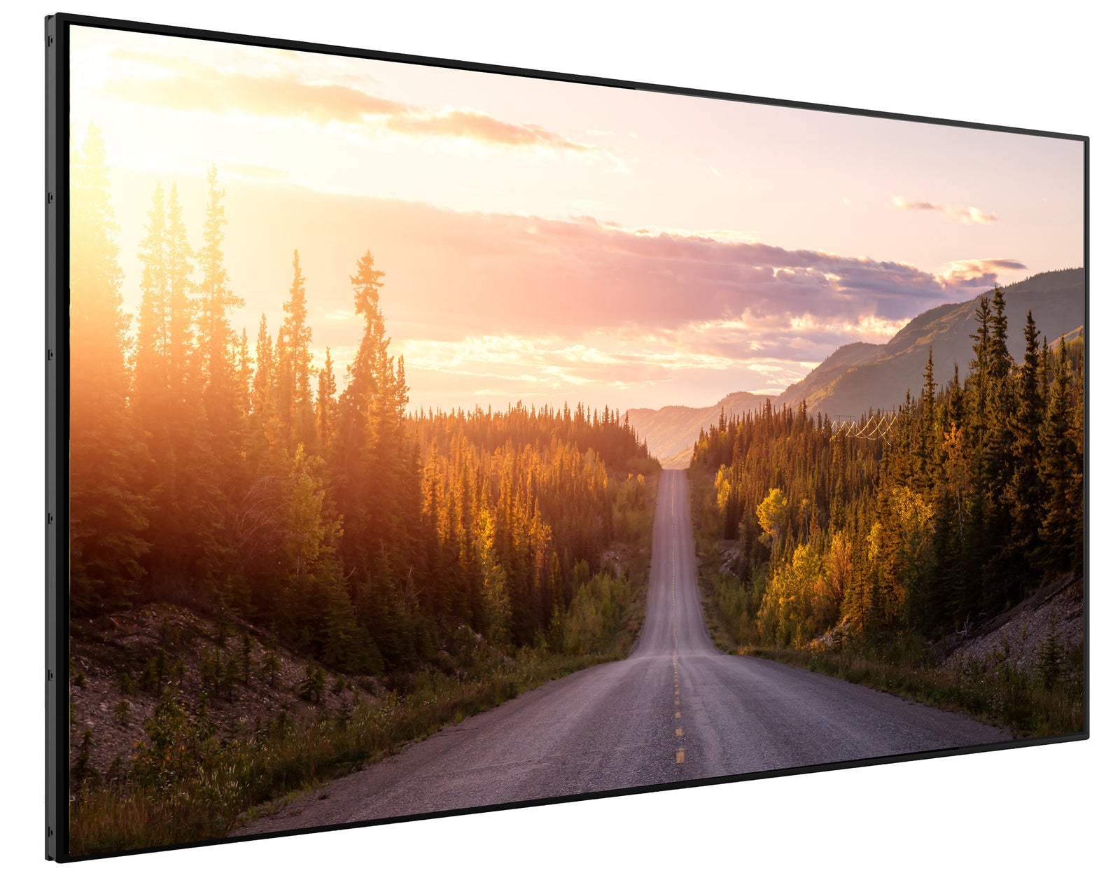 32" Commercial Monitor - Signage Display Digital Signage Display ScreenMoove