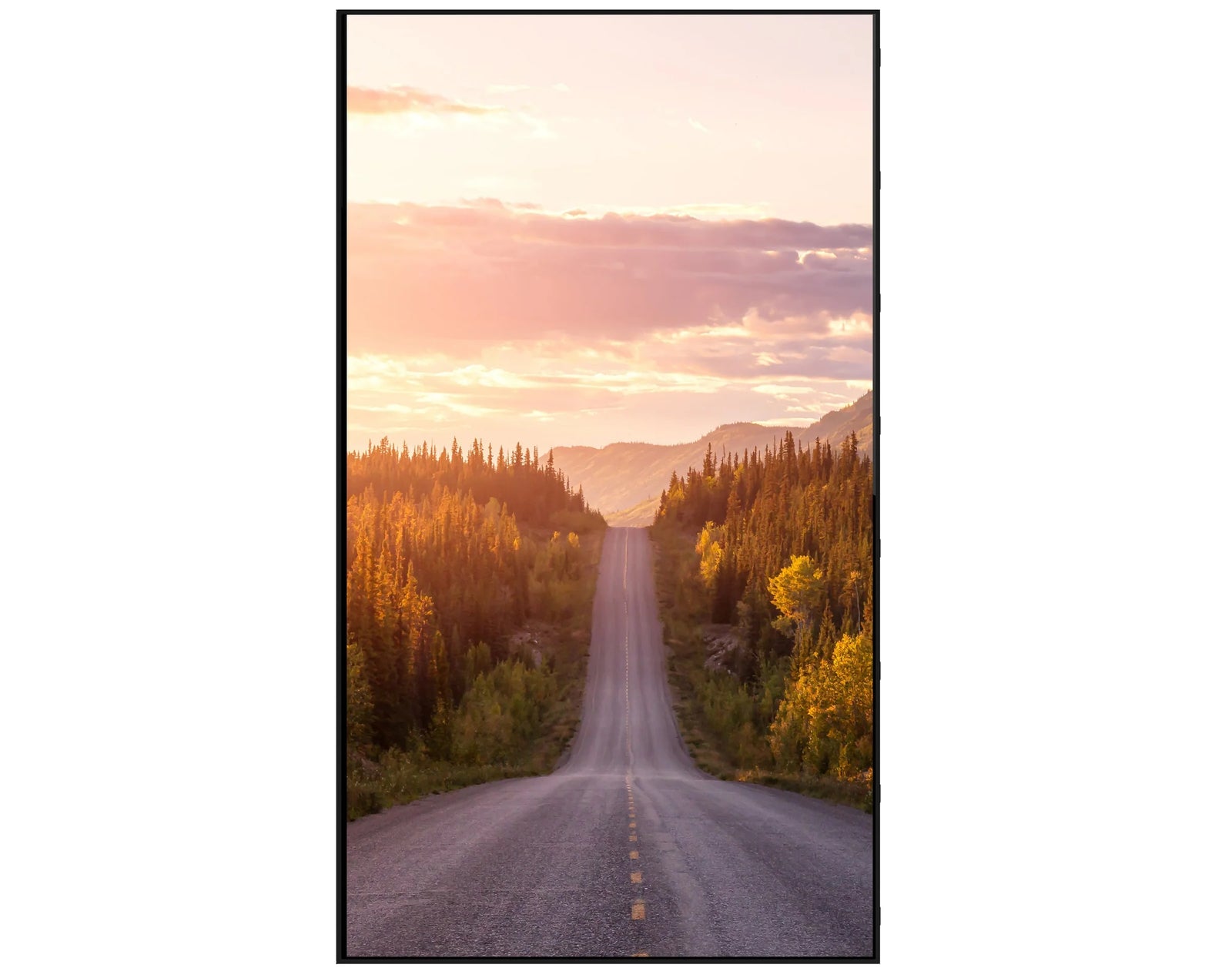 Moove 55" High Brightness 700 cd/m2 Commercial Monitor - Signage Display Digital Signage Display ScreenMoove