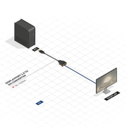 Lindy Display Port 1.2 to DVI-D Basic Adapter | 41004 Adapter / Converter Lindy