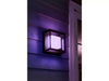 Philips Hue White And Colour Ambience Econic Outdoor Wall Light - 915005731901