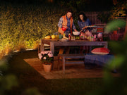 Philips Hue White and Colour Ambiance Lightstrip Outdoor 5m | 929002289104 Smart Lighting Philips