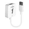 Lindy HDMI to DisplayPort 4K30Hz Converter | 38146