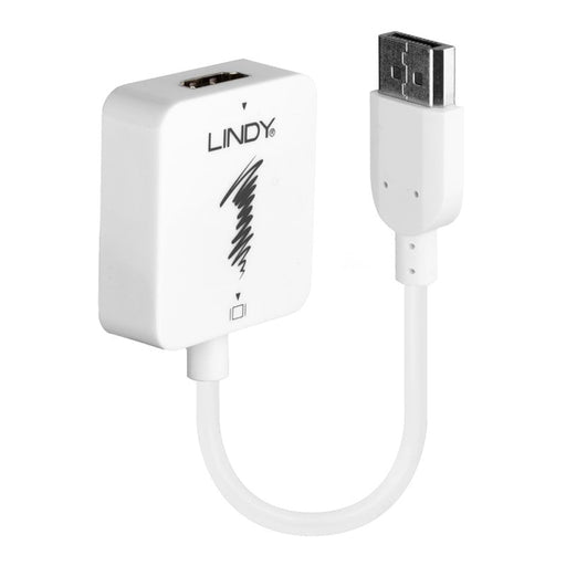 Lindy HDMI to DisplayPort 4K30Hz Converter | 38146 Lindy Cable Lindy