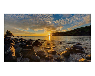 Samsung LH025IFRCLS/EN 2.5 IFR-CL Indoor LED Samsung Digital Signage Samsung