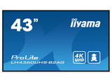 iiyama ProLite LH4360UHS-B2AG 43" 4K Ultra HD Professional Digital Signage Display