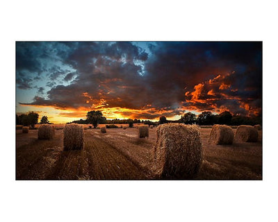 Samsung VM55BU/LH55VMBUBGBXEN 55" VM-Series Videowall Display Samsung Video Wall Display Samsung