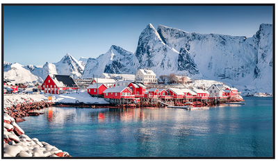 Panasonic TH-50SQE2W 50" 4K Ultra HD Digital Signage Display Panasonic Digital Signage Displays Panasonic