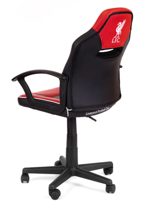 Province5 DFGCLFC office/computer chair Padded seat Padded backrest DFGCLFC