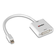 Lindy Mini Display Port to DVI Converter | 38318 Adapter / Converter Lindy