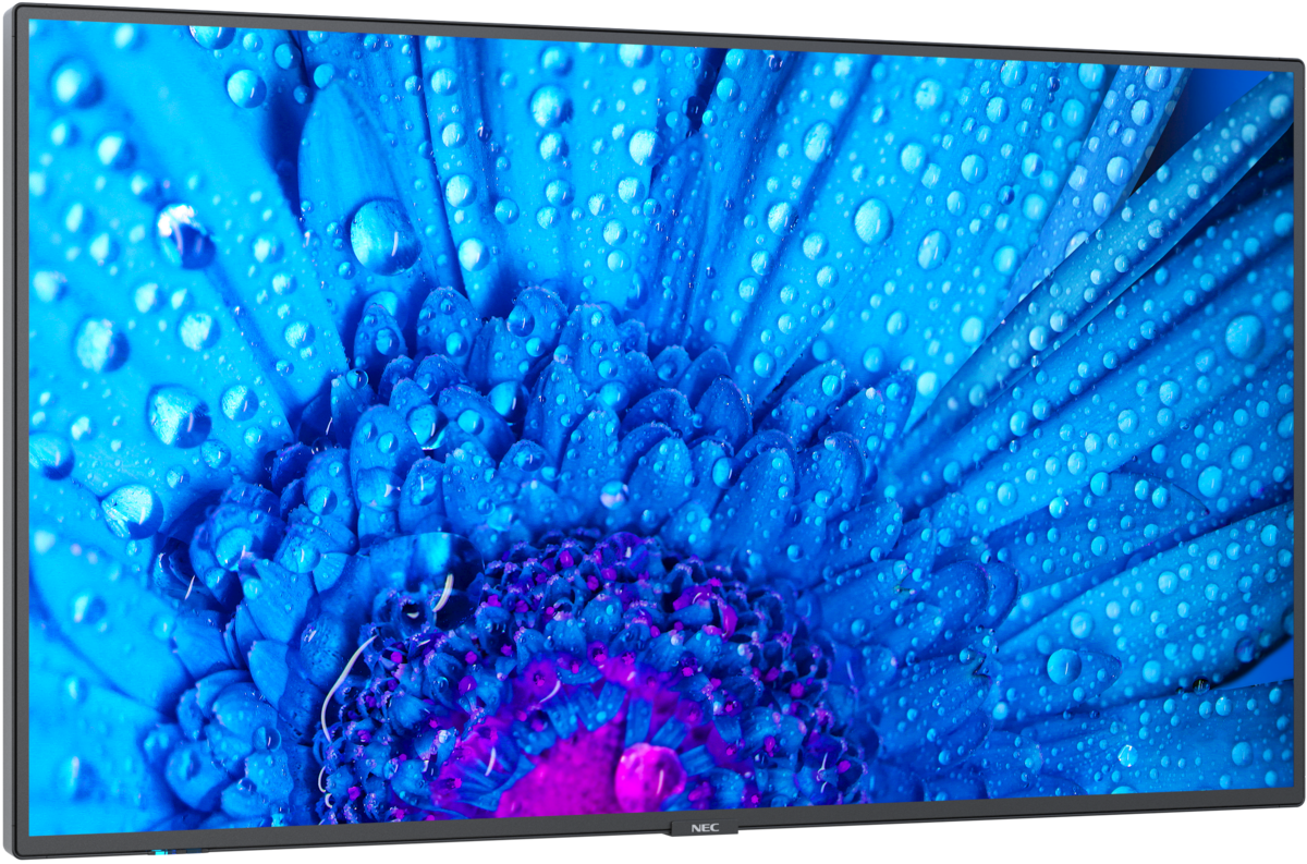 NEC MultiSync® M321 LCD 32" FHD Message Large Format Display | 60005288 Digital Signage Display NEC