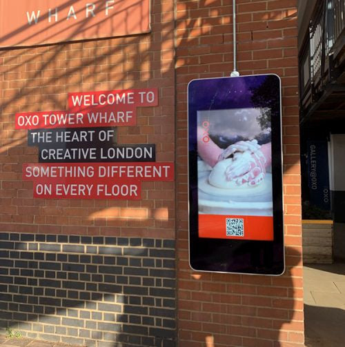 65" Outdoor Digital Advertising Digital Display