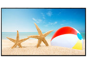 43" Commercial Monitor - Signage Display Digital Signage Display ScreenMoove