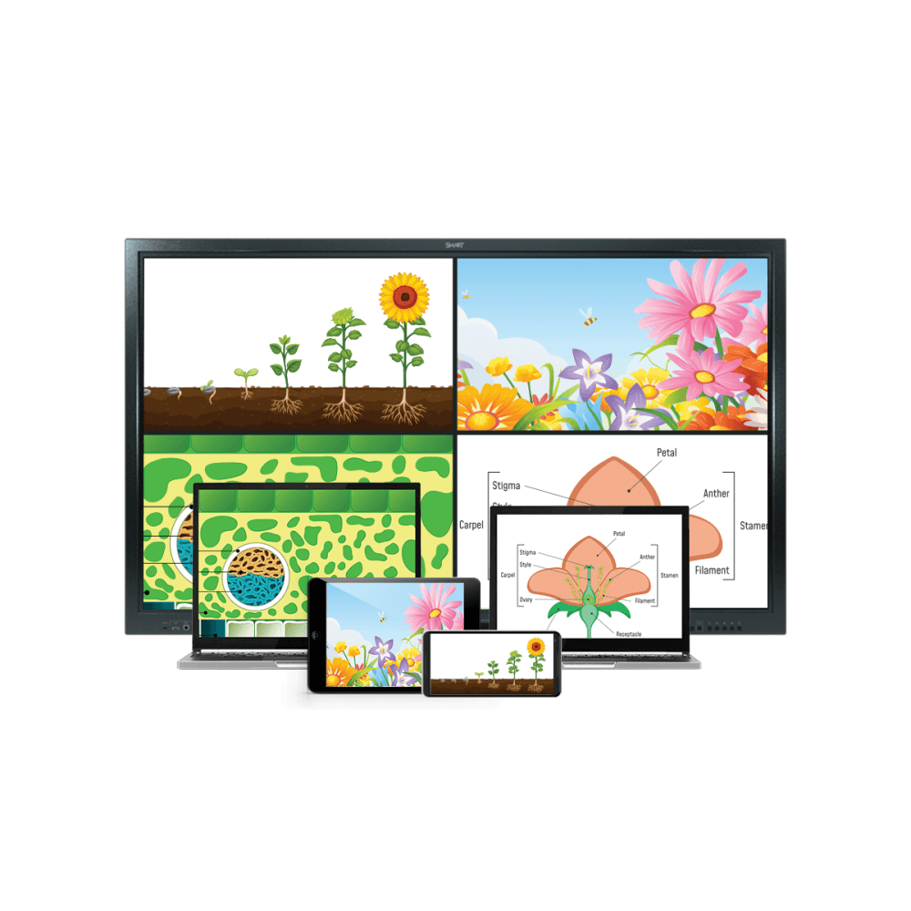 SMART Board 75" SBID-GX175 Interactive Display Interactive Touchscreen Display Smart