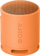 Sony XB100 Portable Wireless Speaker | SRSXB100D.CE7
