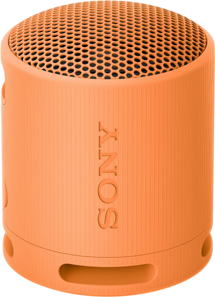 Sony XB100 Portable Wireless Speaker | SRSXB100D.CE7 Speaker Sony