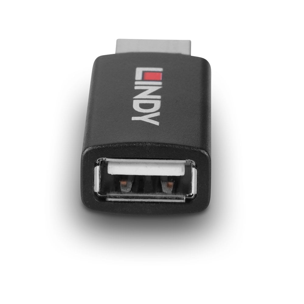 Lindy USB 2.0 Type A to A Data Blocker with Battery Charging 1.2 | 71263 Adapter / Converter Lindy