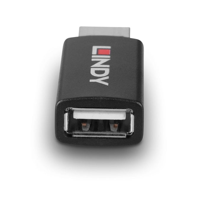 Lindy USB 2.0 Type A to A Data Blocker with Battery Charging 1.2 | 71263 Cable Gender Changers Lindy