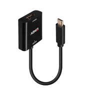 Lindy USB Type C to DisplayPort 4K144 Converter | 43269 Adapter / Converter Lindy