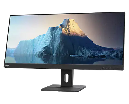 Lenovo ThinkVision E29w-20 29 Inch UltraWide Full HD 90Hz IPS Monitor