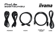 iiyama ProLite B2875UHSU-B1 28" 4K Full HD Desktop Monitor Desktop Monitor iiyama