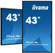 iiyama ProLite LH4354UHS-B1AG 43" Digital Signage Display