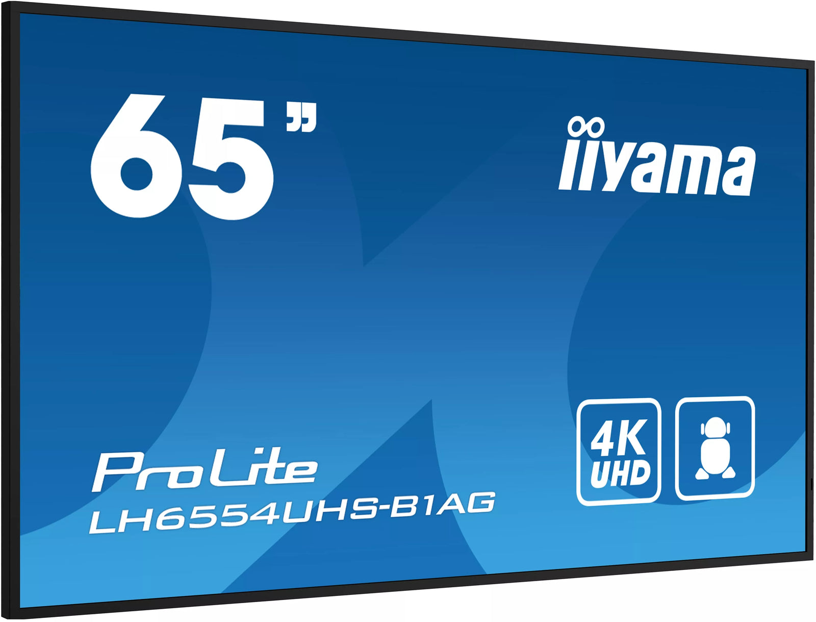 iiyama ProLite LH6554UHS-B1AG 65" 4K UHD Professional Digital Signage Digital Signage Display iiyama