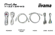 iiyama ProLite T1531SR-W5 15" 5-wire Resistive Touchscreen Monitor Touchscreen Monitor iiyama