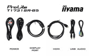 iiyama ProLite T1731SR-B5 17" Resistive Touch Screen Monitor Desktop Monitor iiyama