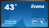 iiyama ProLite T4362AS-B1 43" All-in-one PCAP Interactive Display