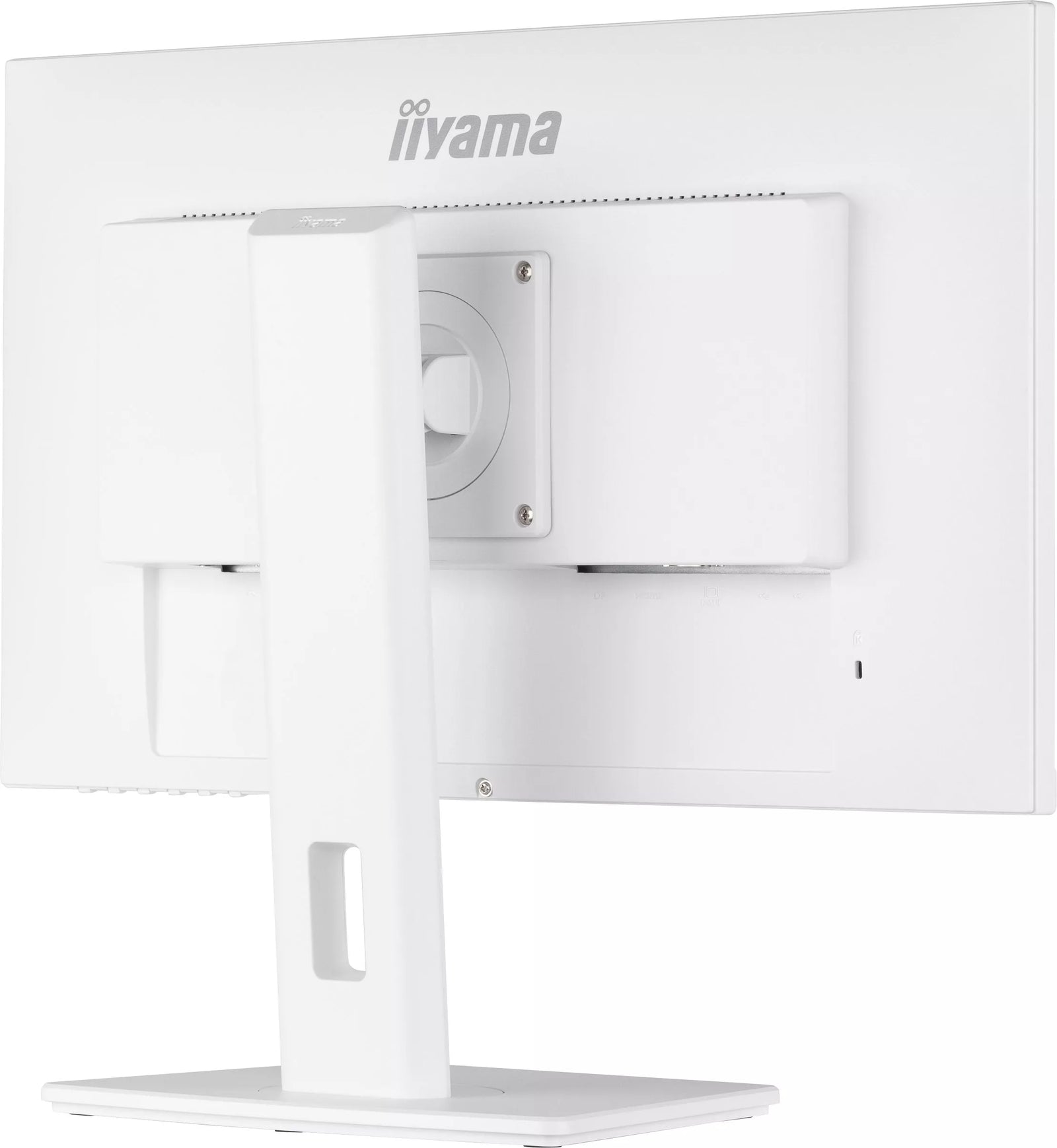 iiyama ProLite XUB2492HSU-W5 24" Desktop Monitor Desktop Monitor iiyama