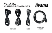 iiyama ProLite XUB2595WSU-B1 25" HD Desktop Monitor Desktop Monitor iiyama