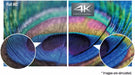 Panasonic TH-75SQE1W 75" Class 4K UHD Digital Signage Display Digital Signage Display Panasonic